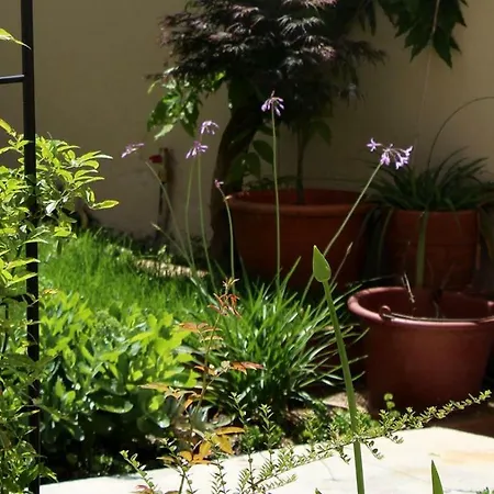 Midi03 カルカソンヌ